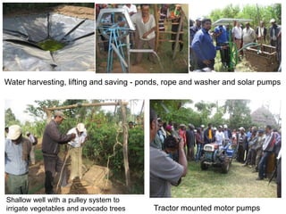 Scaling agricultural innovations: Theoretical and practical insights from Africa RISING Ethiopian Highlands Project 