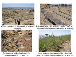 Scaling agricultural innovations: Theoretical and practical insights from Africa RISING Ethiopian Highlands Project 