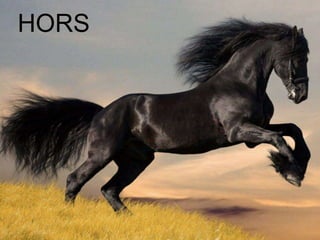 HORS
 