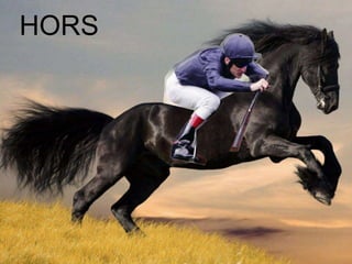 HORS
 