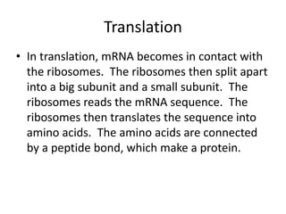 Translation
• In translation, mRNA becomes in contact with
  the ribosomes. The ribosomes then split apart
  into a big subunit and a small subunit. The
  ribosomes reads the mRNA sequence. The
  ribosomes then translates the sequence into
  amino acids. The amino acids are connected
  by a peptide bond, which make a protein.
 