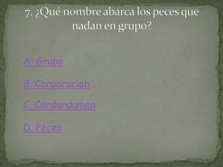 A. Grupo
B. Corporacion
C. Cardurdumen
D. Peces
 