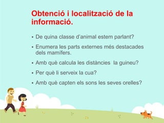 Obtenció i localització de la
informació.


De quina classe d’animal estem parlant?



Enumera les parts externes més destacades
dels mamífers.



Amb què calcula les distàncies la guineu?



Per què li serveix la cua?



Amb què capten els sons les seves orelles?

 