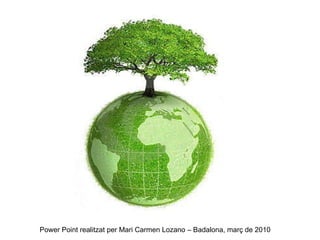 Power Point realitzat per Mari Carmen Lozano – Badalona, març de 2010 