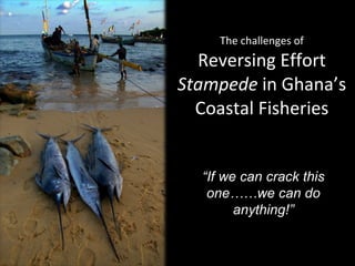 The challenges of Reversing Effort  Stampede  in Ghana’s Coastal Fisheries “ If we can crack this one……we can do anything!” 