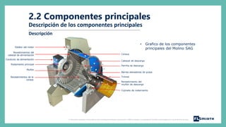 Mills_Module_2_-_Components_and_Function_SPA_Bambas_Template_LMS.pdf