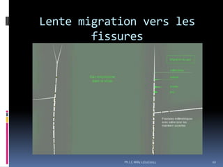 Lente migration vers les
fissures

Ph.LC Milly 17/10/2013

10

 