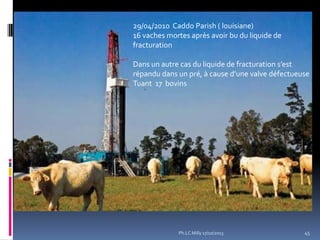 29/04/2010 Caddo Parish ( louisiane)
16 vaches mortes après avoir bu du liquide de
fracturation
Dans un autre cas du liquide de fracturation s’est
répandu dans un pré, { cause d’une valve défectueuse
Tuant 17 bovins

Ph.LC Milly 17/10/2013

45

 