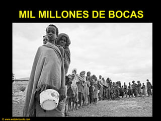 MIL MILLONES DE BOCAS
© www.webdericardo.com
 