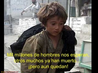 Mil millones de hombres nos esperan,
otros muchos ya han muerto…
¡pero aún quedan!
© www.webdericardo.com
 