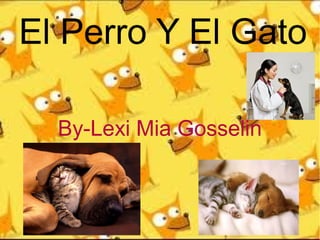 El Perro Y El Gato
By-Lexi Mia Gosselin

 