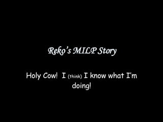 Reko’s MILP Story Holy Cow!  I  (think)  I know what I’m doing! 