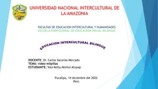 DOCENTE: Dr. Carlos Sacarías Mercado
TEMA: video milpillas
ESTUDIANTE: Yola Ketty Akintui Atuyap
Pucallpa, 14 diciembre del 2022
Perú
UNIVERSIDAD NACIONAL INTERCULTURAL DE
LA AMAZONIA
FACULTAD DE EDUCACION INTERCULTURAL Y HUMANIDADES
ESCUELA PROFESIONAL DE EDUCACION INICIAL BILINGUE
 