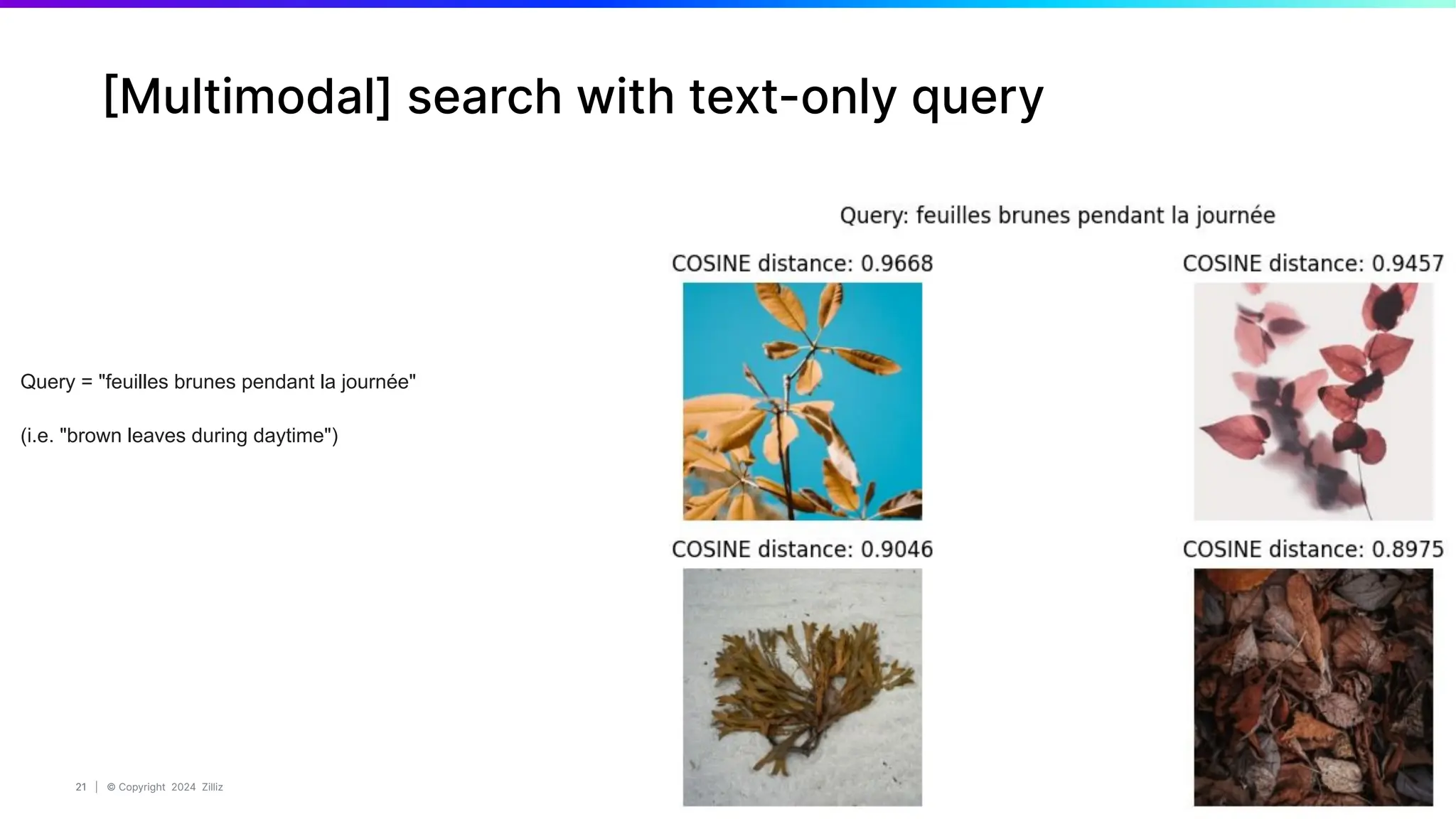 21 | © Copyright 2024 Zilliz
21
[Multimodal] search with text-only query
Query = "feuilles brunes pendant la journée"
(i.e. "brown leaves during daytime")
 