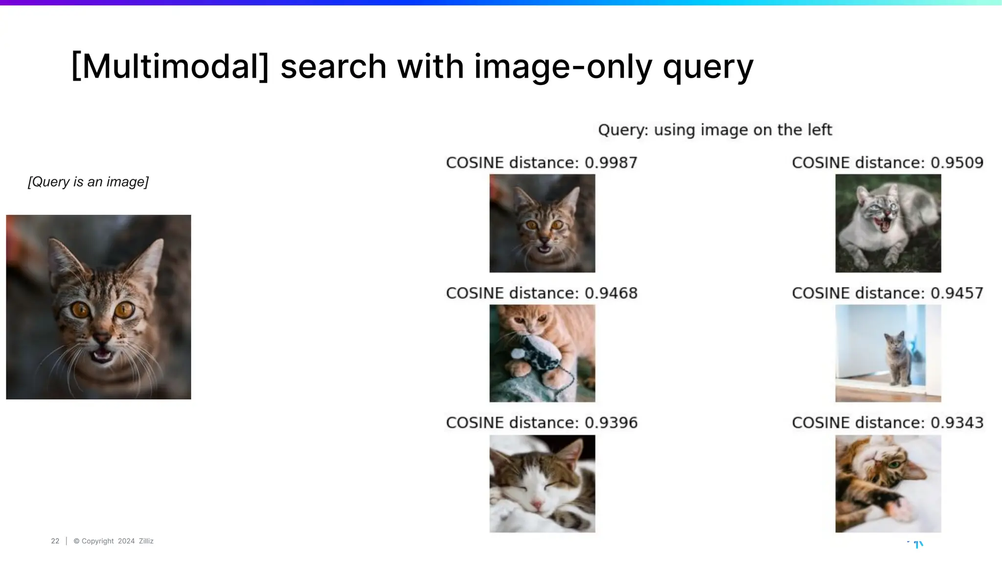 22 | © Copyright 2024 Zilliz
22
[Multimodal] search with image-only query
[Query is an image]
 