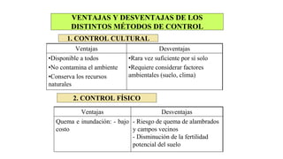 VENTAJAS Y DESVENTAJAS DE LOS
DISTINTOS MÉTODOS DE CONTROL
2. CONTROL FÍSICO
- Riesgo de quema de alambrados
y campos vecinos
- Disminución de la fertilidad
potencial del suelo
Quema e inundación: - bajo
costo
Desventajas
Ventajas
1. CONTROL CULTURAL
•Rara vez suficiente por sí solo
•Requiere considerar factores
ambientales (suelo, clima)
•Disponible a todos
•No contamina el ambiente
•Conserva los recursos
naturales
Desventajas
Ventajas
 