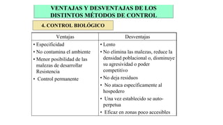 VENTAJAS Y DESVENTAJAS DE LOS
DISTINTOS MÉTODOS DE CONTROL
4. CONTROL BIOLÓGICO
• Lento
• No elimina las malezas, reduce la
densidad poblacional o, disminuye
su agresividad o poder
competitivo
• No deja residuos
• No ataca específicamente al
hospedero
• Una vez establecido se auto-
perpetua
• Eficaz en zonas poco accesibles
• Especificidad
• No contamina el ambiente
• Menor posibilidad de las
malezas de desarrollar
Resistencia
• Control permanente
Desventajas
Ventajas
 
