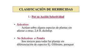 CLASIFICACIÓN DE HERBICIDAS
I.- Por su Acción Selectividad
• Selectivos
Actúan sobre alguna especies de plantas sin
afectar a otras; 2,4 D, diclofop.
• No Selectivos o Totales
Son tóxicos para todas las plantas sin
diferenciación de especies Ej. Glifosato, paraquat
 