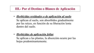 III.- Por el Destino o Blanco de Aplicación
• Herbicidas residuales o de aplicación al suelo
Se aplican al suelo, son absorbidos gradualmente
por las raíces, en función de su liberación lenta
dentro del suelo.
• Herbicidas de aplicación foliar
Se aplican a las plantas, la absorción ocurre por las
hojas predominantemente.
 