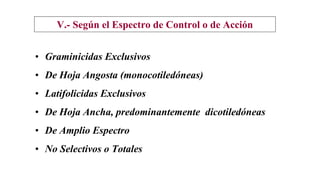 V.- Según el Espectro de Control o de Acción
• Graminicidas Exclusivos
• De Hoja Angosta (monocotiledóneas)
• Latifolicidas Exclusivos
• De Hoja Ancha, predominantemente dicotiledóneas
• De Amplio Espectro
• No Selectivos o Totales
 