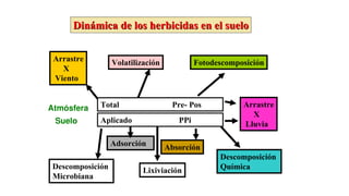 Din
Diná
ámica de los herbicidas en el suelo
mica de los herbicidas en el suelo
Total Pre- Pos
Aplicado PPi
Descomposición
Microbiana
Adsorción
Lixiviación
Absorción
Descomposición
Química
Arrastre
X
Lluvia
Arrastre
X
Viento
Volatilización Fotodescomposición
Atmósfera
Suelo
 