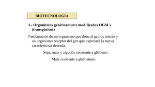 1.- Organismos genéticamente modificados OGM´s
(transgénicos)
Participación de un organismo que dona el gen de interés y
un organismo receptor del gen que expresará la nueva
característica deseada.
Soja, maíz y algodón resistente a glifosato
Maíz resistente a glufosinato
BIOTECNOLOGÍA
 