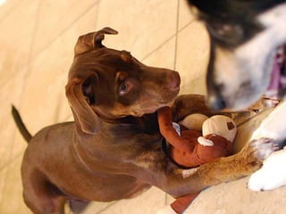 @rogerdooley #brainfluence   Copyright 2013, Dooley Direct LLC
 