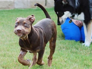 @rogerdooley #brainfluence   Copyright 2013, Dooley Direct LLC
 