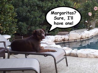 Margaritas?
                              Sure, I’ll
                              have one!




@rogerdooley #brainfluence     Copyright 2013, Dooley Direct LLC
 