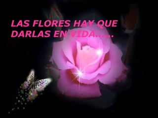 LAS FLORES HAY QUE DARLAS EN VIDA...... 