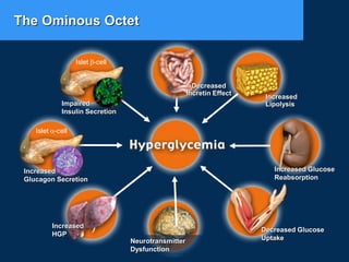 The Ominous Octet
Islet b-cell
Impaired
Insulin Secretion
Neurotransmitter
Dysfunction
Decreased Glucose
Uptake
Islet a-cell
Increased
Glucagon Secretion
Increased
Lipolysis
Increased Glucose
Reabsorption
Increased
HGP
Decreased
Incretin Effect
 