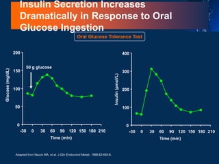 Adapted from Nauck MA, et al. J Clin Endocrinol Metab. 1986;63:492-8.
Oral Glucose Tolerance Test
Glucose
(mg/dL)
50 g glucose
0
50
100
150
200
-30 0 30 60 90 120 150 180 210
Time (min)
Insulin
(pmol/L)
0
100
200
300
400
-30 0 30 60 90 120 150 180 210
Time (min)
Insulin Secretion Increases
Dramatically in Response to Oral
Glucose Ingestion
 