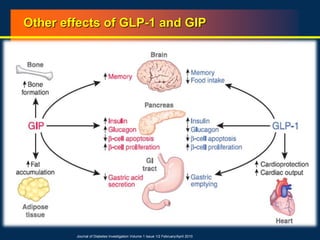 Other effects of GLP-1 and GIP
Journal of Diabetes Investigation Volume 1 Issue 1/2 February/April 2010
 