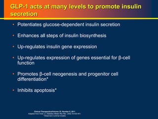 GLP-1 acts at many levels to promote insulin
secretion
• Potentiates glucose-dependent insulin secretion
• Enhances all steps of insulin biosynthesis
• Up-regulates insulin gene expression
• Up-regulates expression of genes essential for β-cell
function
• Promotes β-cell neogenesis and progenitor cell
differentiation*
• Inhibits apoptosis*
Clinical Therapeutics/Volume 33, Number 5, 2011
Adapted from Holst JJ. Diabetes Metab Res Rev. 2002;18:430-441.
*Observed in animal models
 