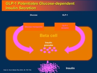 GLP-1 Potentiates Glucose-dependent
Insulin Secretion
GLP-1
Glucose transporter
GLP-1
receptor
Glucose
Insulin
granules
Beta cell
Holz G. Horm Metab Res 2004; 36: 787-794.
Insulin
 