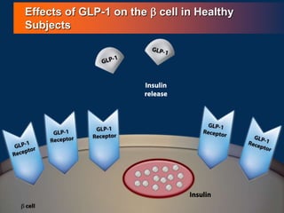 Effects of GLP-1 on the b cell in Healthy
Subjects
 
