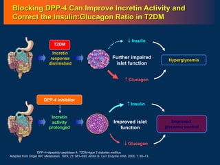 DPP-4=dipeptidyl peptidase-4; T2DM=type 2 diabetes mellitus
Adapted from Unger RH. Metabolism. 1974; 23: 581–593. Ahrén B. Curr Enzyme Inhib. 2005; 1: 65–73.
 Insulin
 Glucagon
Improved
glycemic control
Incretin
activity
prolonged
Improved islet
function
DPP-4 inhibitor
 Insulin
 Glucagon
Hyperglycemia
Incretin
response
diminished
Further impaired
islet function
T2DM
Blocking DPP-4 Can Improve Incretin Activity and
Correct the Insulin:Glucagon Ratio in T2DM
 