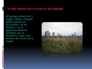 Cómo empezar a conocerla ciudad.
•El paisaje natural de la
región, verde y húmedo,
puede gozarse en
los parques, en las
afueras o en la
gigantesca Reserva
Ecológica que se
encuentra a sólo cinco
minutos del Centro de la
ciudad.
 