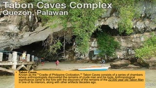 • Tabon Caves.
Known as the ""Cradle of Philippine Civilization,"" Tabon Caves consists of a series of chambers
where anthropologists discovered the remains of crude man and his tools. Anthropological
significance came to the fore with the discovery of the remains of the 22,000 year old Tabon Man
in one of its interiors, along with other artifacts decades ago.
 