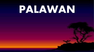 PALAWAN
 