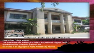 Palawan State College Museum.
This museum features archeological artifacts and prehistoric diggings, which
include fossils and crude tools of ancient man.
It is located in the city proper of Puerto Princesa City, Palawan
 