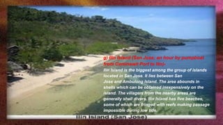 g) Ilin Island (San Jose; an hour by pumpboat
from Caminawit Port to Ilin)-
Ilin Island is the biggest among the group of islands
located in San Jose. It lies between San
Jose and Ambulong Island. The area abounds in
shells which can be obtained inexpensively on the
island. The villagers from the nearby areas are
generally shell divers. Ilin Island has five beaches,
some of which are fringed with reefs making passage
impossible during low tide.
 