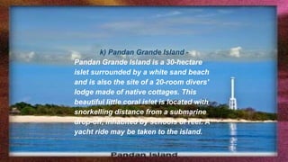 k) Pandan Grande Island -
Pandan Grande Island is a 30-hectare
islet surrounded by a white sand beach
and is also the site of a 20-room divers'
lodge made of native cottages. This
beautiful little coral islet is located with
snorkelling distance from a submarine
drop-off, inhabited by schools of reef. A
yacht ride may be taken to the island.
 