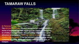 b) Tamaraw Falls
The 423-foot waterfalls, situated alongside the road, is actually a
series of asymmetrical falls, leading to the grand one, dropping
to a frothy waterbed below. The cascading waterfalls is a great
attraction to passers-by. Tamaraw Falls is located in Barangay
Villaflor, Puerto Galera. It can be reached in two hours by taking
a jeepney bound for Barangay Villaflor from Puerto Galera, or
Calapan.
 