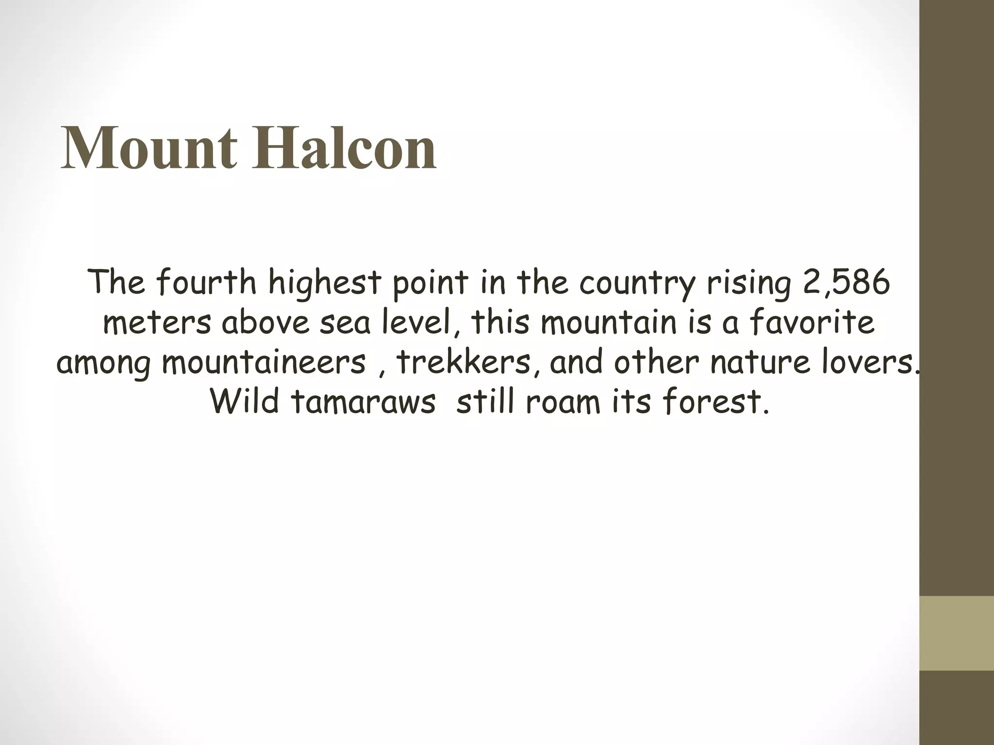 Mount Halcon
The fourth highest point in the country rising 2,586
meters above sea level, this mountain is a favorite
among mountaineers , trekkers, and other nature lovers.
Wild tamaraws still roam its forest.
 