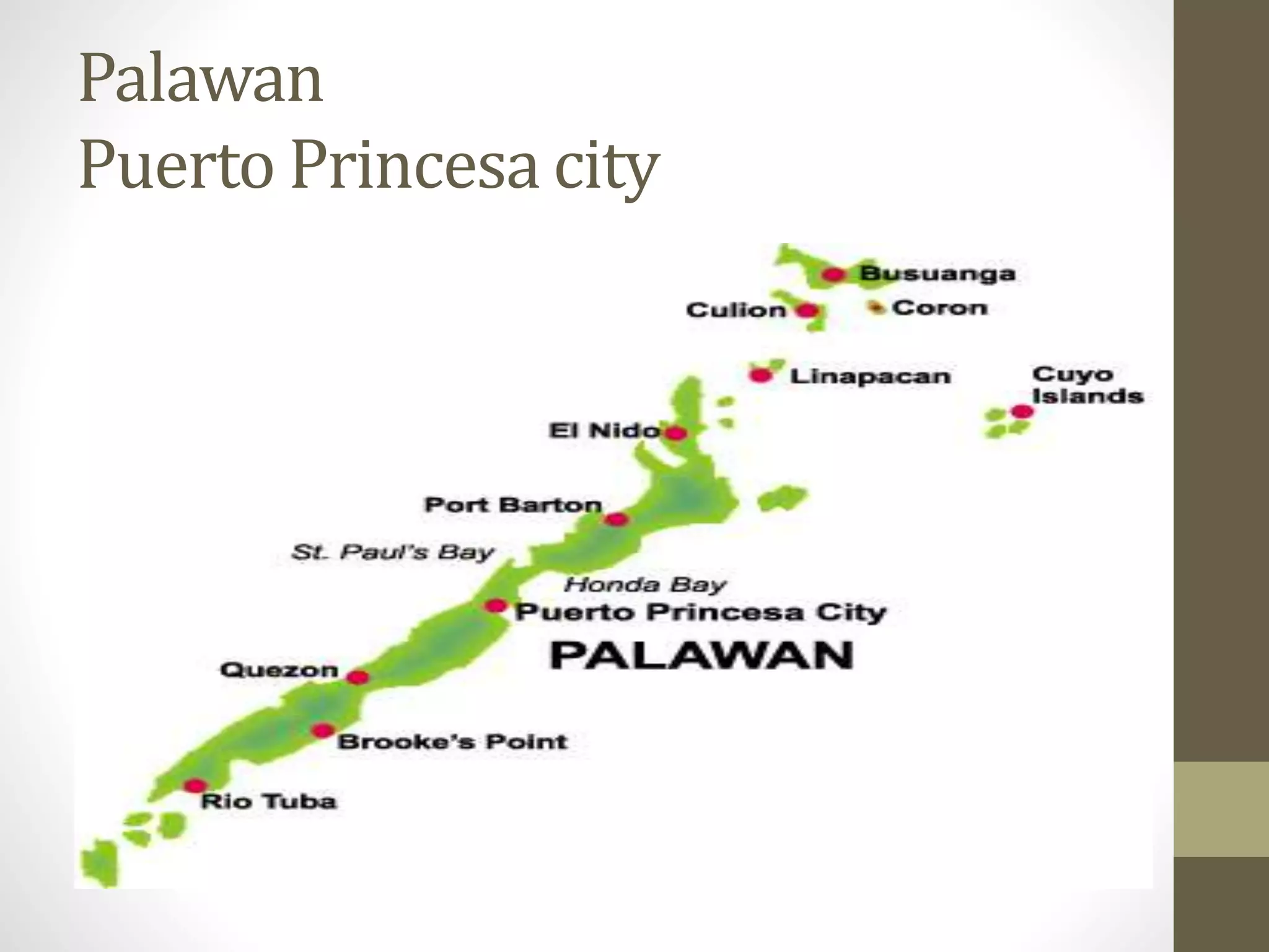 Palawan
Puerto Princesa city
 