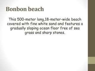 Bonbon beach
This 500-meter long,18-meter-wide beach
covered with fine white sand and features a
gradually sloping ocean floor free of sea
grass and sharp stones.
 