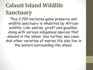 Calauit Island Wildlife
Sanctuary
This 3,700 hectares game preserve and
wildlife sanctuary is inhabited by African
wildlife. Like zebras, giraff and gazelles,
along with various indigenous species that
abound in the island. Sea turtles, sea cows.
And other varieties of marine life also live in
the waters surrounding the island.
 
