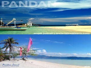 Aganahaw Island
The island has a wide expanse of beach with whitish
sand . suitable for swimming and picnicking .
 