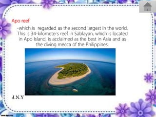 Apo reef
-which is regarded as the second largest in the world.
This is 34-kilometers reef in Sablayan, which is located
in Apo Island, is acclaimed as the best in Asia and as
the diving mecca of the Philippines.
J.N.Y
 